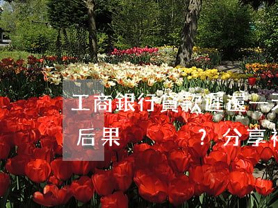 工商銀行貸款遲還一天會(huì)有什么后果？分享補(bǔ)救辦法